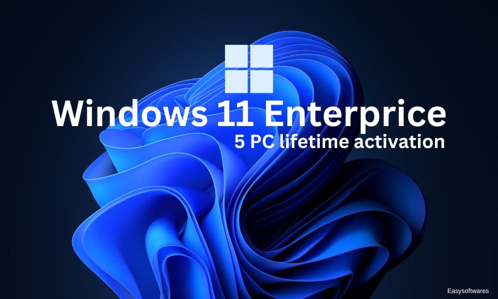 Windows 11 Enterprise (5 PC)