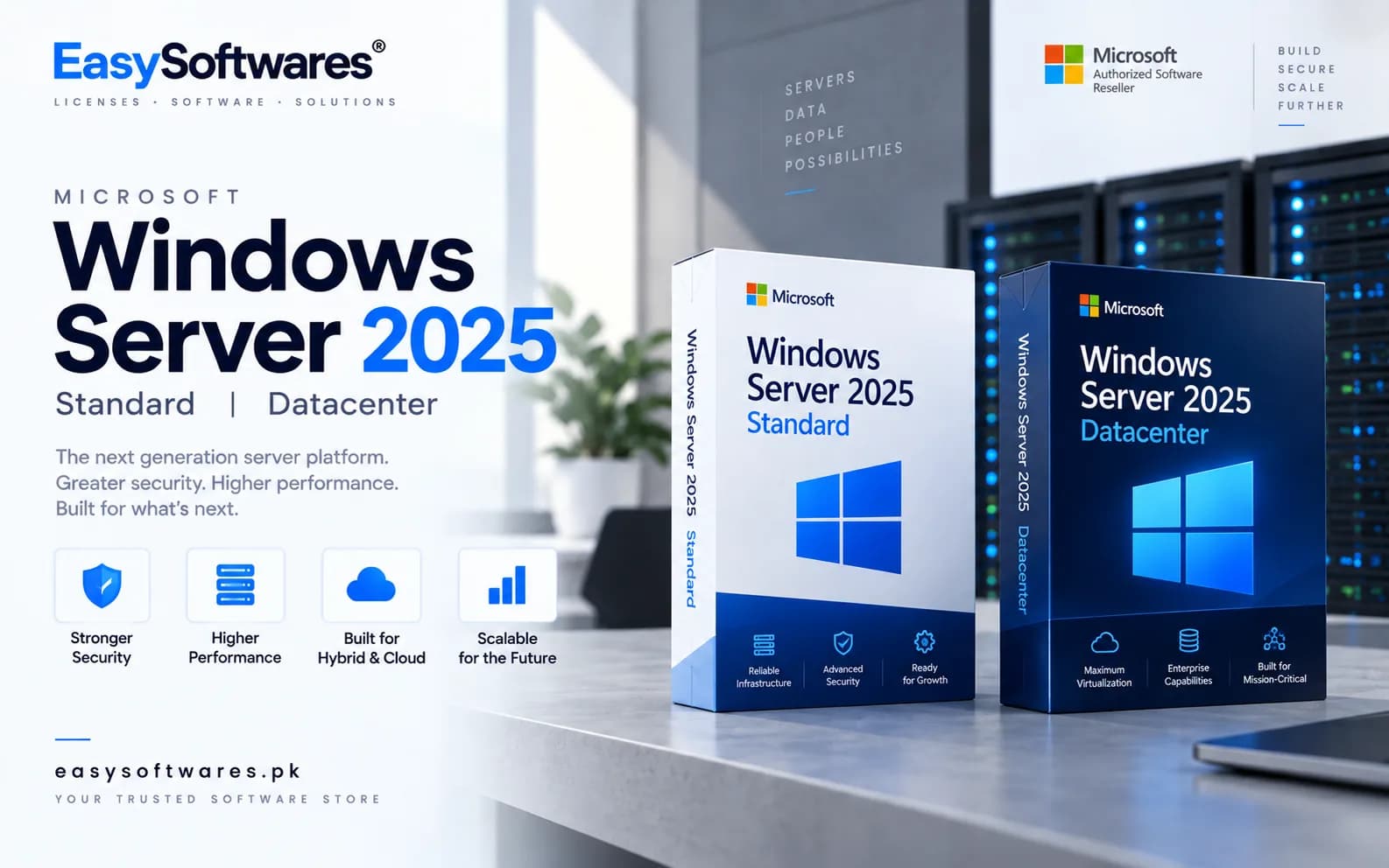 Windows Server 2025 Standard - Datacenter Official  Activation Key